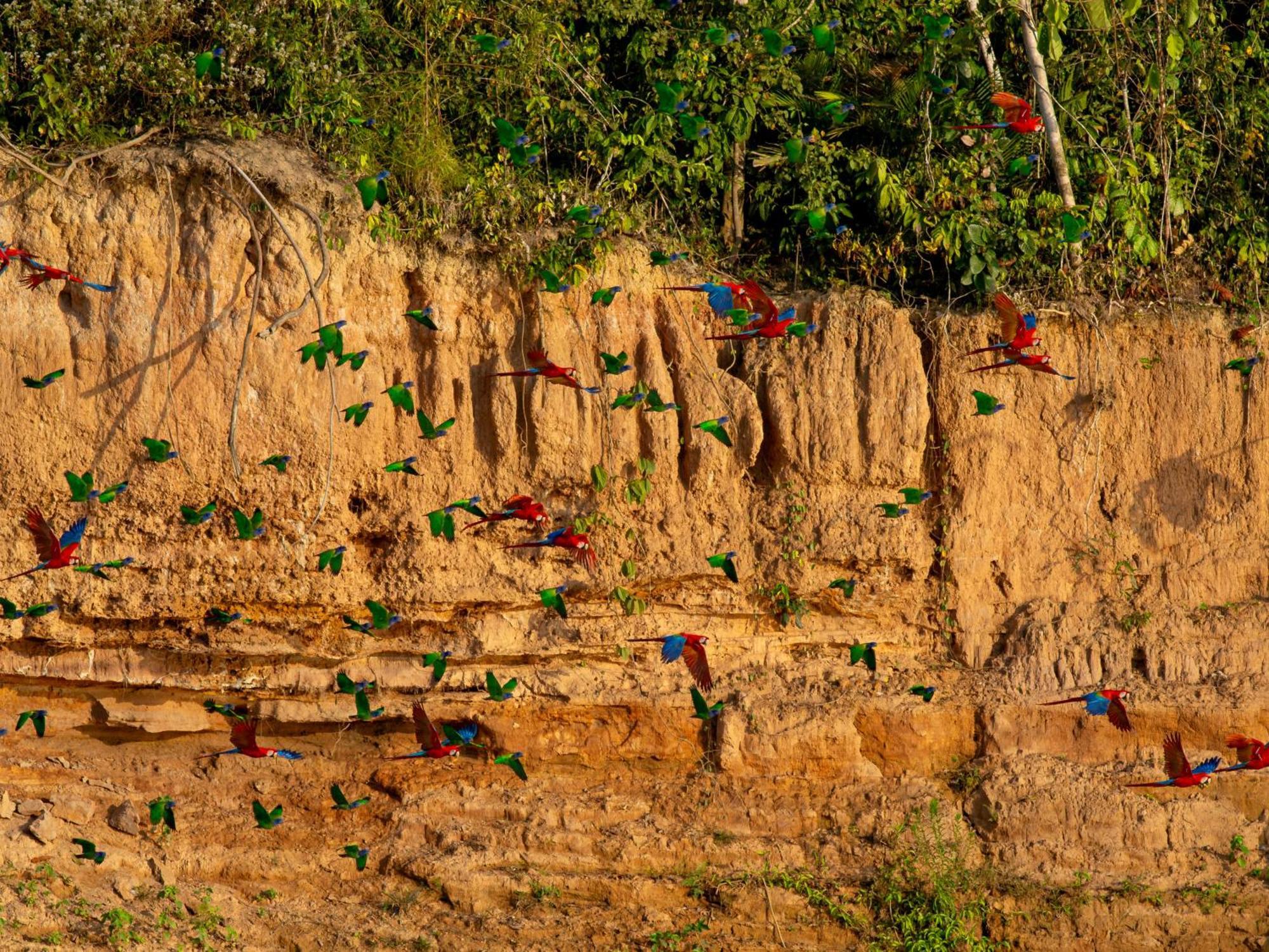 Refugio Amazonas Lodge Tambopata Esterno foto